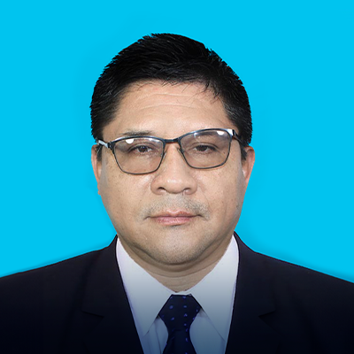 elaboracion y asesoria de tesis